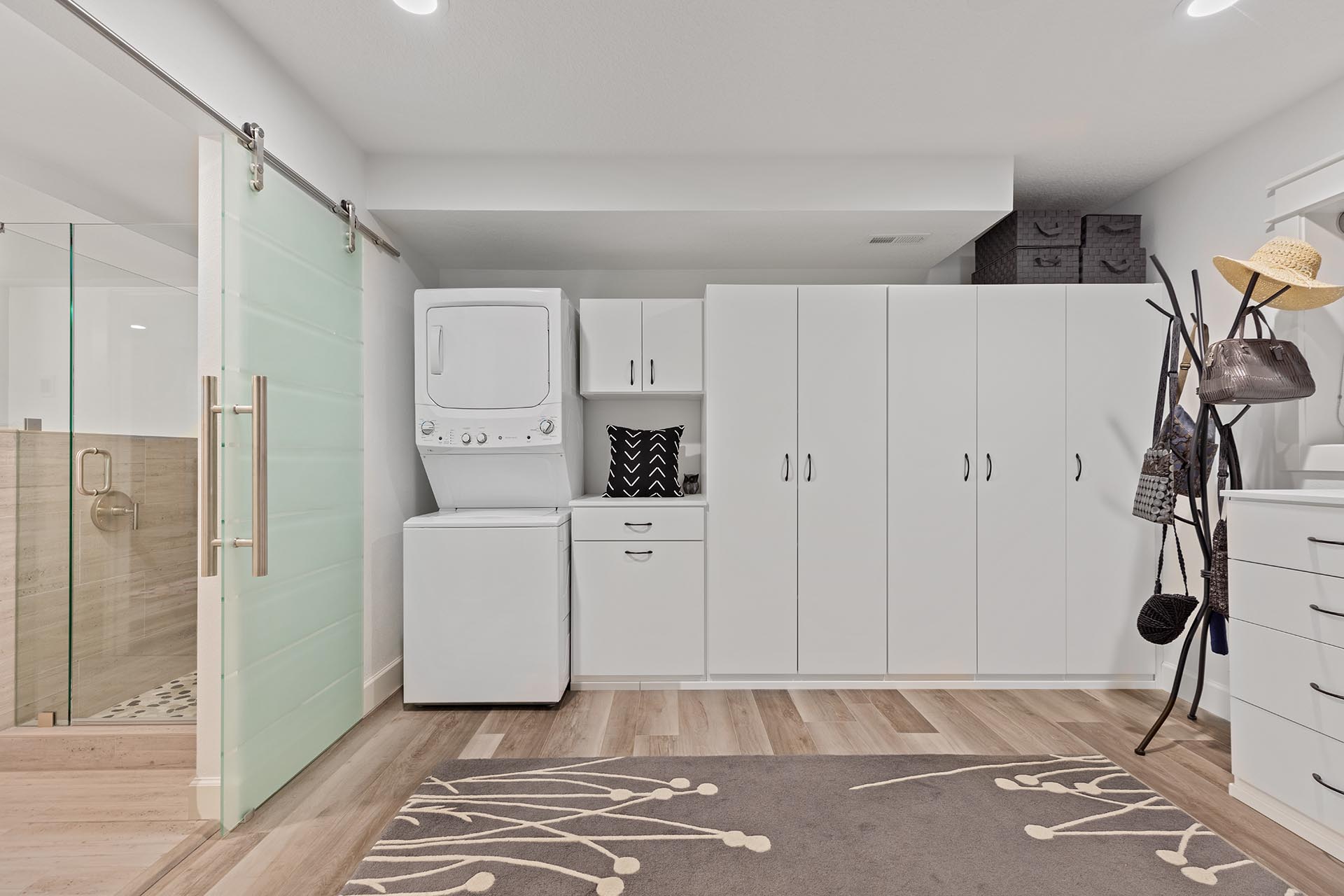 Basement Bedroom closet and laundry